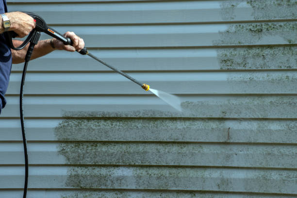 Best Driveway Cleaning and Restoration in Heritage Lake, IL